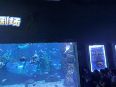-南昌海洋公园