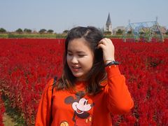 -美的鹭湖森林度假区