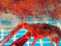 -巽寮印象美食部落餐厅·海鲜·地方特色菜(惠州体验店)