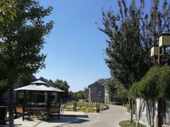 -万源龙顺度假庄园生态观光园