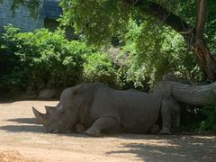 -遇见南洋小馆(桂林路店)