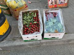 -东仓门早市