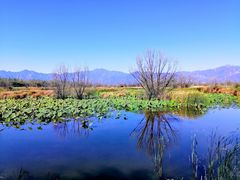 -野鸭湖国家湿地公园