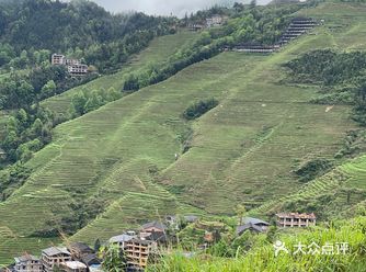 春天的梯田也别有韵味，雨后的空气十分清新，若隐若现的
