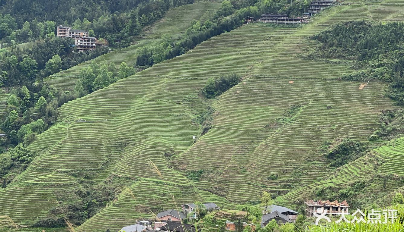 龙脊梯田