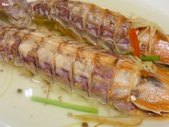 盐水濑尿虾-猪肉婆私房菜(容桂总店)