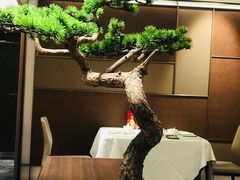 -南海渔村(珠江新城店)