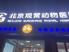 -北京观赏动物医院·24小时大型综合·猫专科·异宠专科