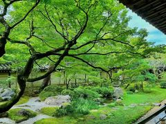 -北陵公园