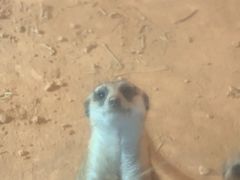 -泉州海丝野生动物世界