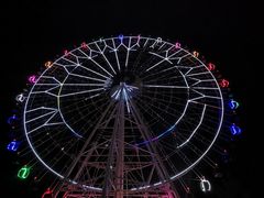 -马白开来特色羊排揪片子  (总店)