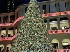 -中环半山扶手电梯