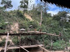 -西双版纳原始森林公园
