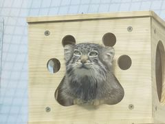 -青藏高原野生动物园