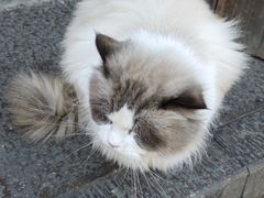 -嵊州特色小吃(萧山街店)