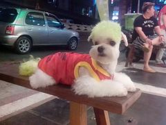 -六合夜市