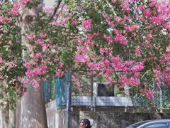 -华南师范大学(广州大学城校区)