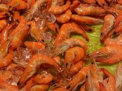 -星伦多自助料理·涮烤一体(江桥万达店)