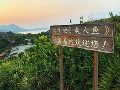 -杨梅坑
