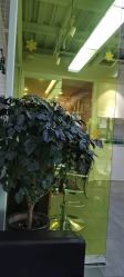 -SY水源护肤造型