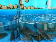 -日照大牌檔•小船海鲜(万平口店)