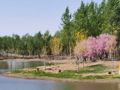 -东郊湿地公园