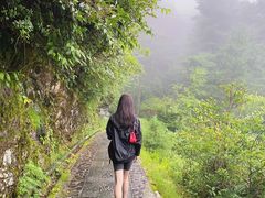 -苍山感通索道