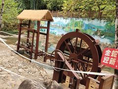 -广州白江湖森林公园