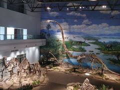 -自贡恐龙博物馆