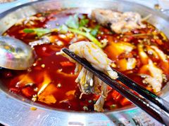美牛蛙青牛蛙-蛙一刀·麻椒鱼火锅(金仙桥店)