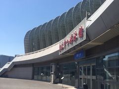 -奥体中心游泳馆