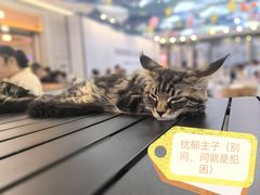 -万达广场(大明宫店)