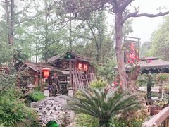 -青城甲(青城山店)