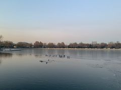 -李老爹香辣蟹(宣武门店)