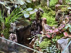 -弗劳尔花艺坊(龙涛店)