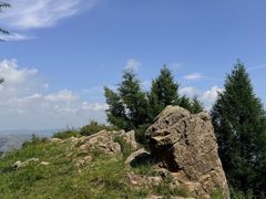 -苏木山森林公园