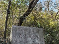 -紫金山天文台