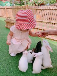 -萌宠亲子动物乐园(槐房万达店)