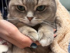 -八公叔叔宠物美容连锁(春申店)