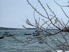 -海源公园