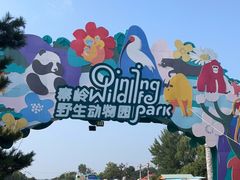 -西安秦岭野生动物园