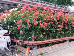 -张记焖窑·十五年专注焖烤(雍和宫店)