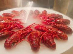 -红盔甲·小龙虾(天钥桥店)