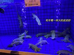 -協成海鮮火鍋(老店)