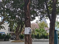 -天河体育中心
