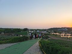-大塘金香草谷