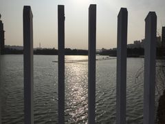 -南翔镇银翔湖公园