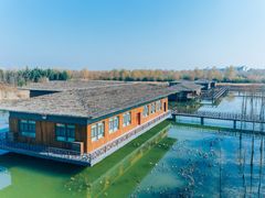 -泗洪洪泽湖湿地景区