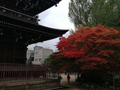 -医王山·飞騨国分寺