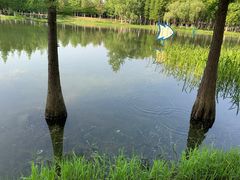 -天鹅湖体育公园